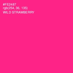 #FE2487 - Wild Strawberry Color Image